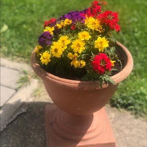 Meet your Posher, Zuzana